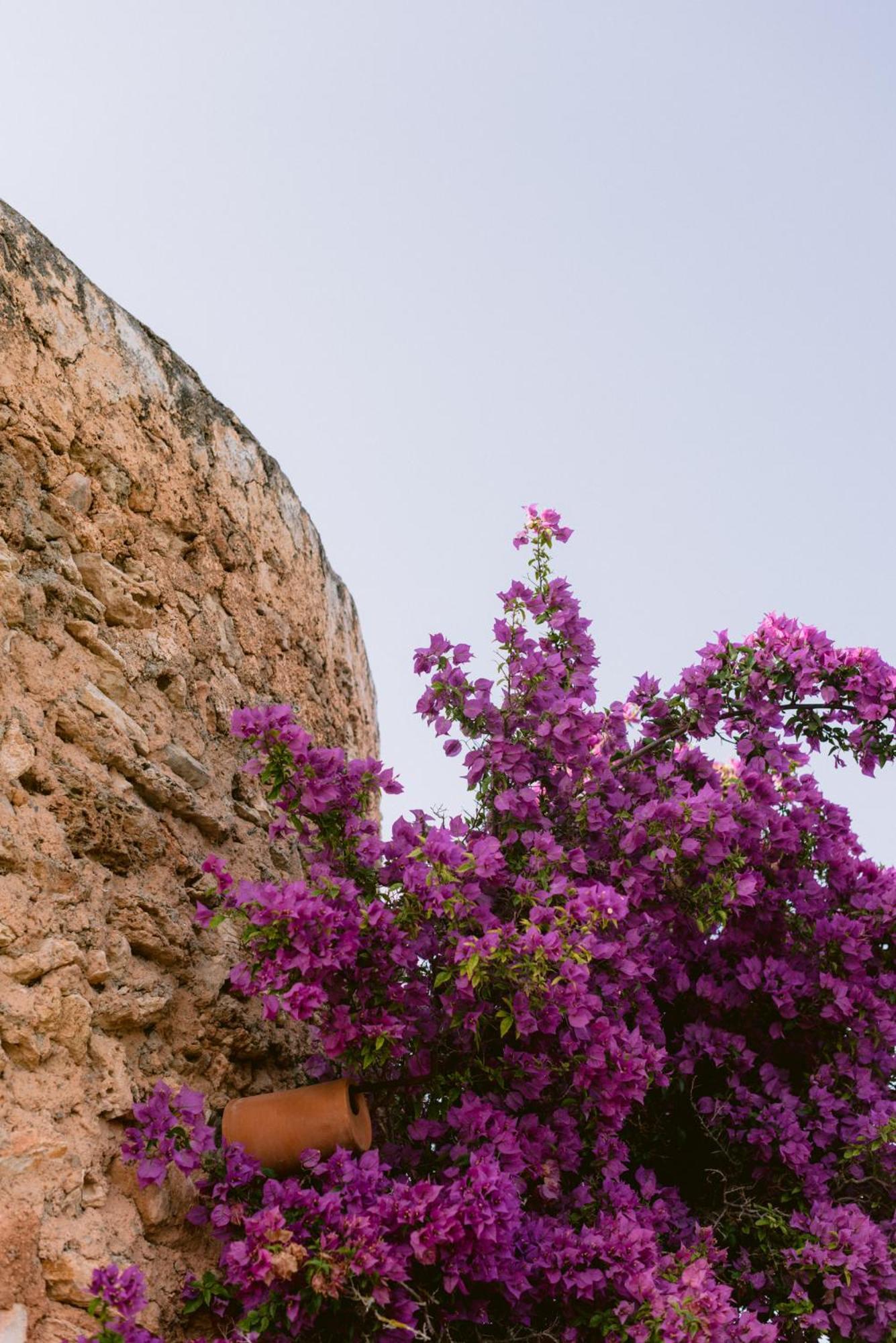 Can Quince Balafia Ibiza Hotel - Turismo De Interior 圣洛伦索巴拉菲 外观 照片