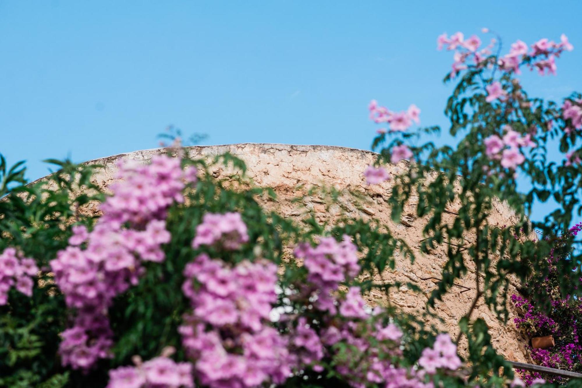 Can Quince Balafia Ibiza Hotel - Turismo De Interior 圣洛伦索巴拉菲 外观 照片