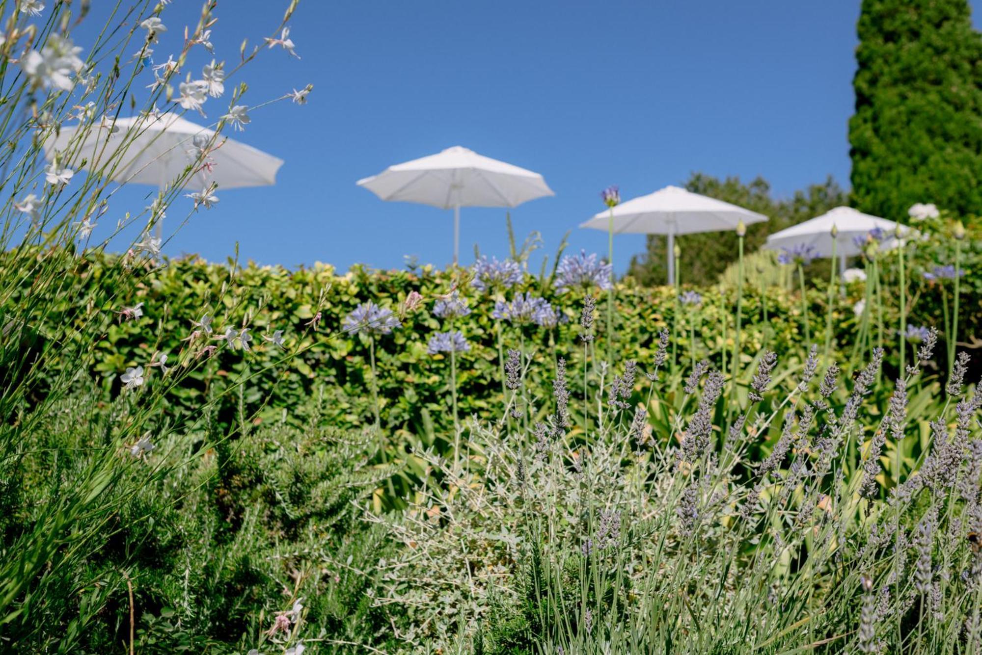 Can Quince Balafia Ibiza Hotel - Turismo De Interior 圣洛伦索巴拉菲 外观 照片